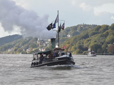 Dampfschlepper TIGER