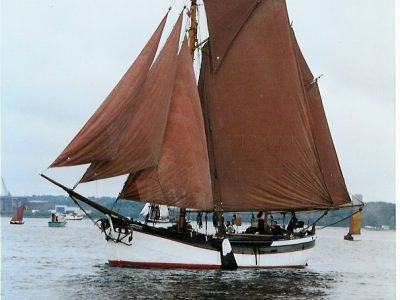Besanewer MOEWE