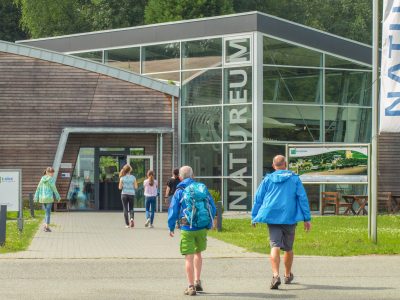 Natureum Niederelbe