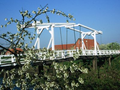 Hafen Steinkirchen