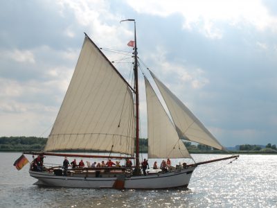 Rund um die Rhinplate
