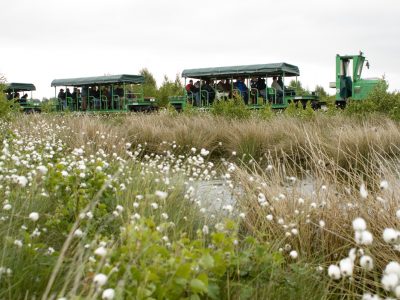 Wertvolle Naturparadiese - Die Moore