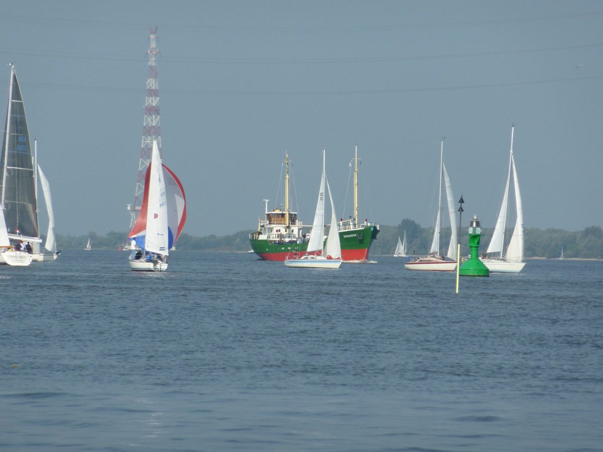 Greundiek mit Seglern Greundiek auf der Elbe